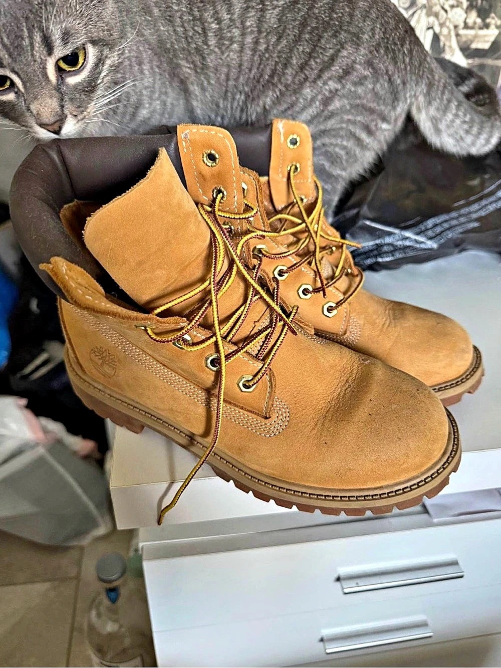 Timberland Premium 6-Inch Waterproof Boot Brown Lace-Up Boots